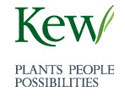 Kew Gardens