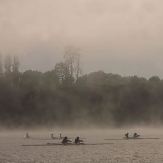Rowing on a misty morning